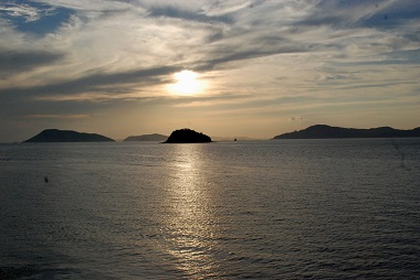 日本の海にすむハゼ　フィールド画像　（高見島　香川県）