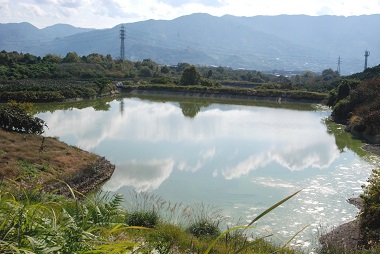 和歌山の淡水にすむハゼ　フィールド画像　（大池　紀の川市）