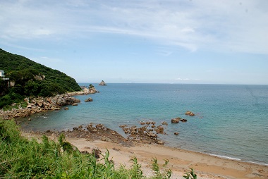和歌山の海にすむハゼ　フィールド画像　（はぶかたの浜　由良町）
