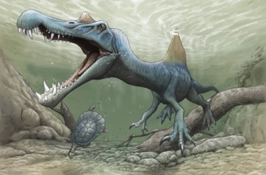 スピノサウルス類のイメージ.jpg