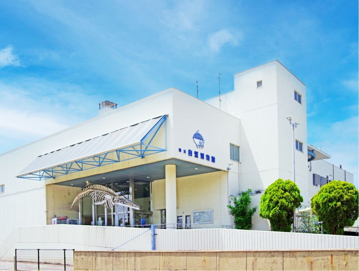 Wakayama Prefectural Museum of Natural History