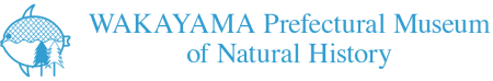 Wakayama Prefectural Museum of Natural History