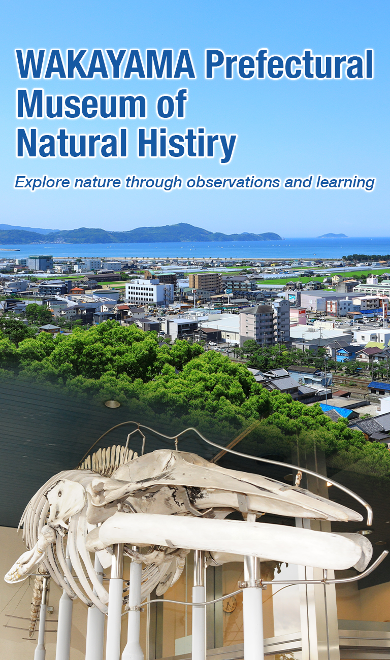 Wakayama Prefectural Museum of Natural History