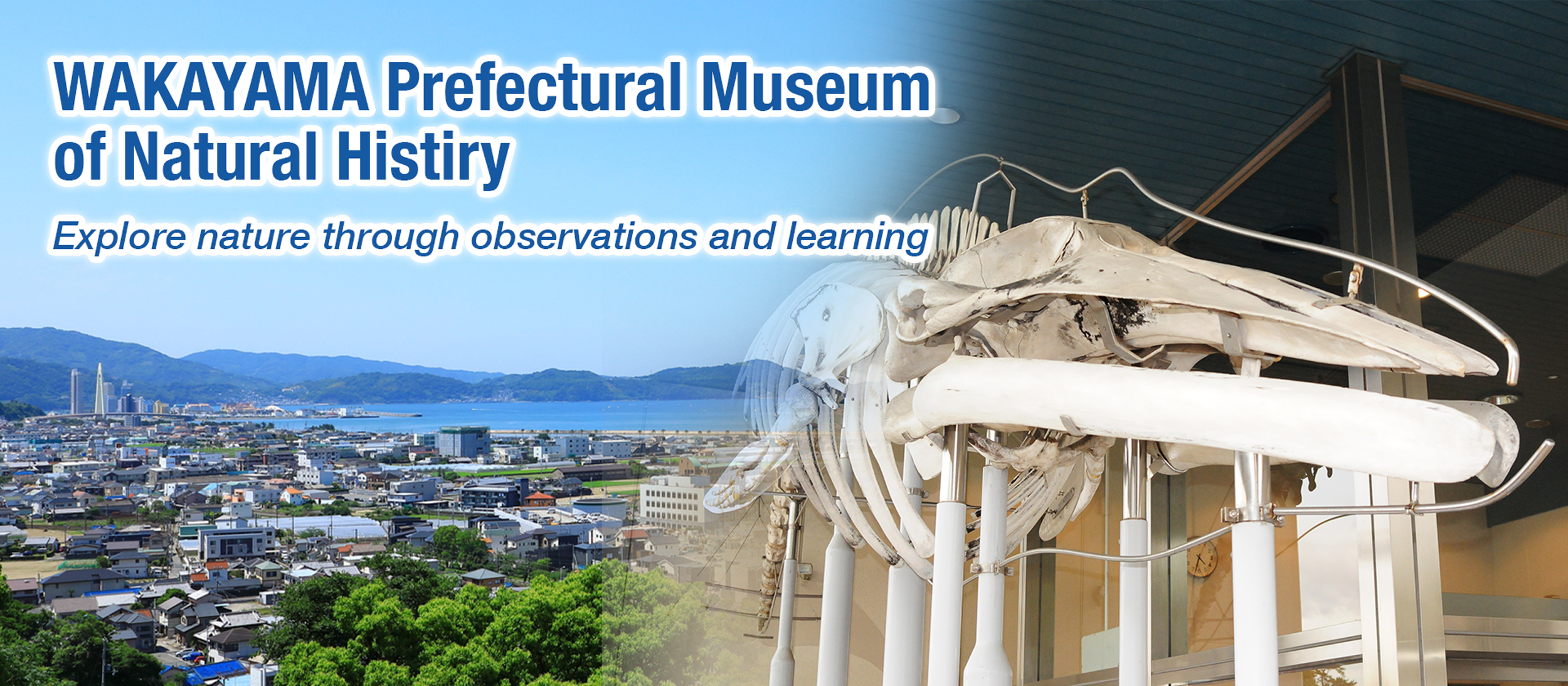 Wakayama Prefectural Museum of Natural History