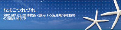 なまこつれづれ