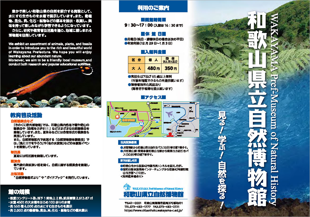 和歌山県立自然博物館のパンフレット