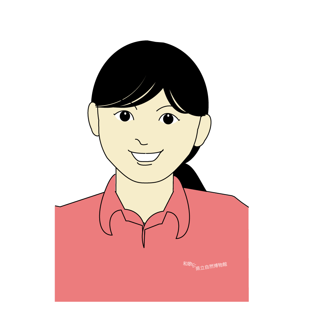 学芸員：学芸員：佐々木　歩