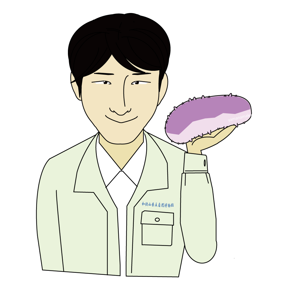 主査学芸員：山名　裕介