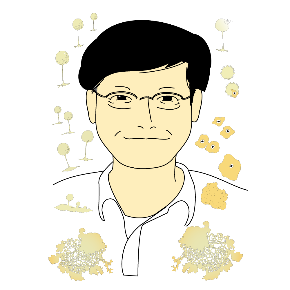主査学芸員：川上　新一