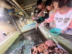 魚にエサをやろう