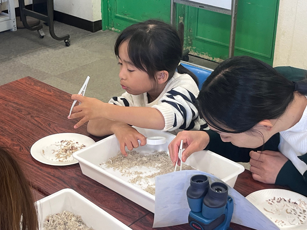 チリメンモンスターイン和歌山