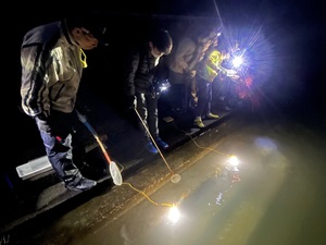 光で魚を集めよう