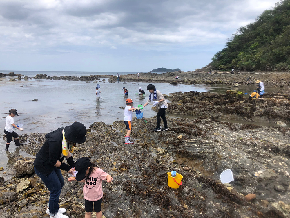 磯の生物観察会