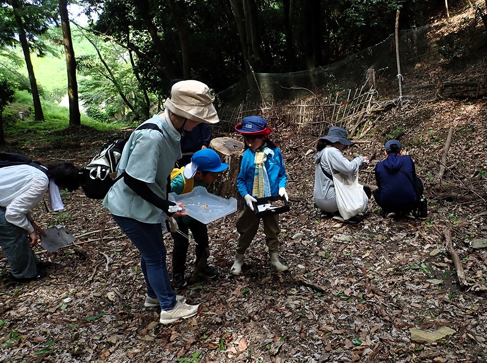 ふしぎな生物、粘菌をさがしてみよう!