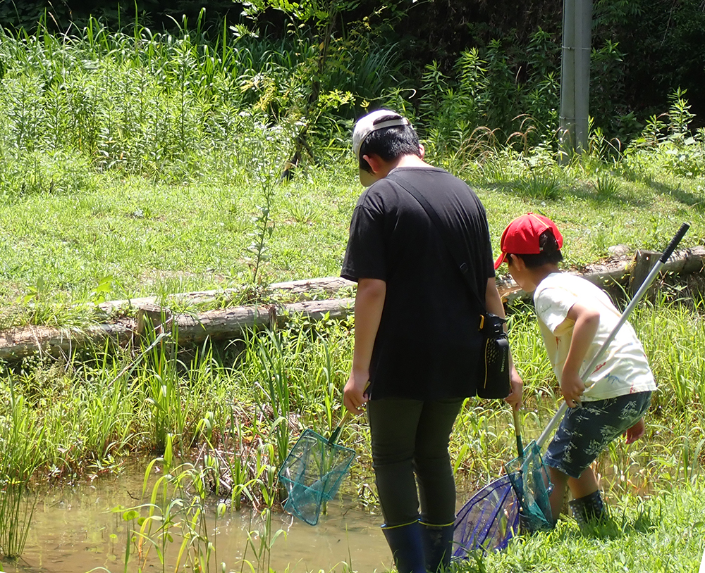 両生類・は虫類の観察会