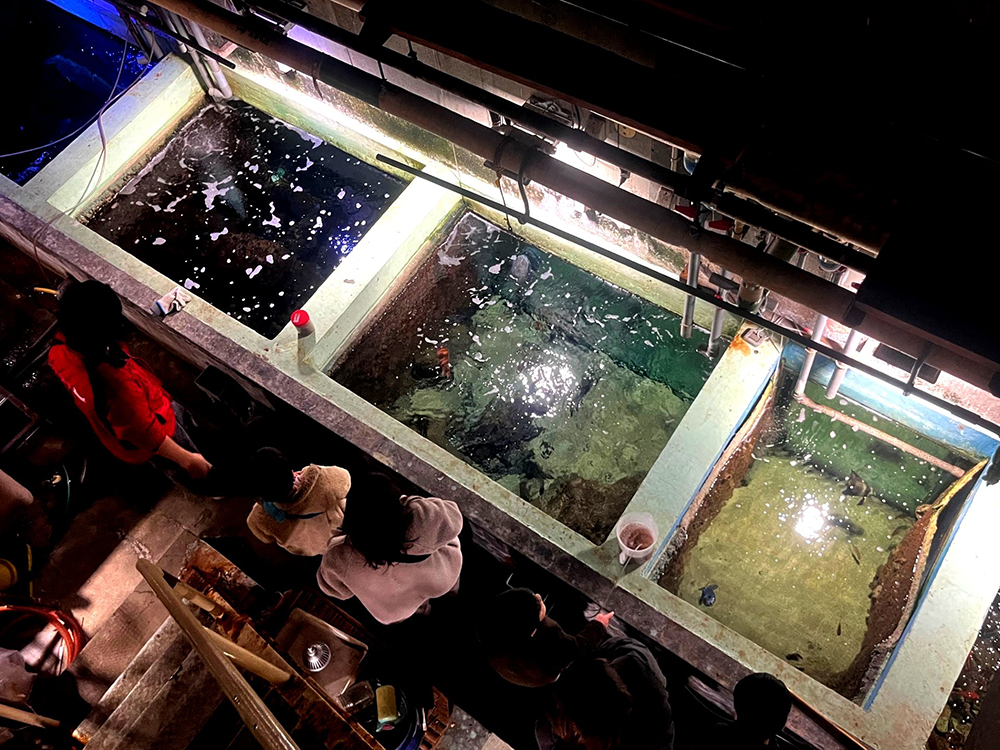 裏方探検ツアー