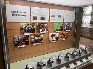 変形菌