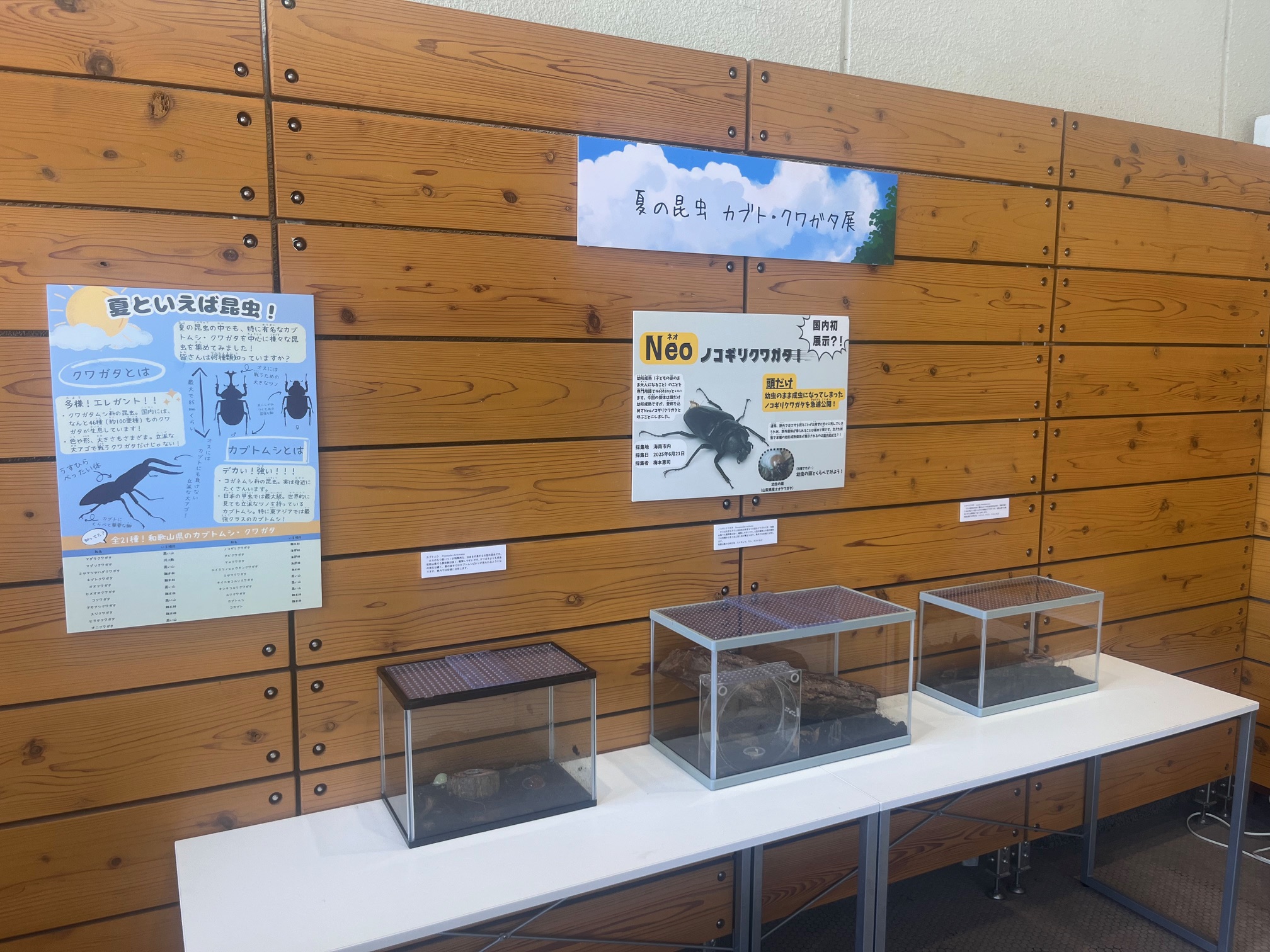 カブト・クワガタ展