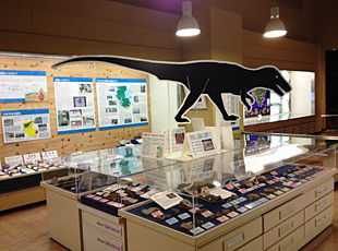 第1展示室