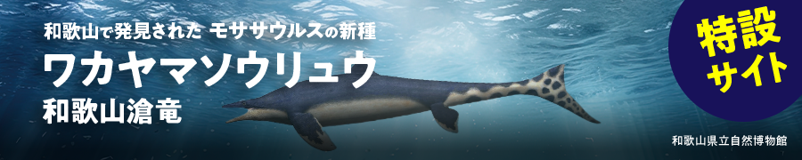 ワカヤマソウリュウ