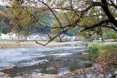 写真：賀茂川　京都府