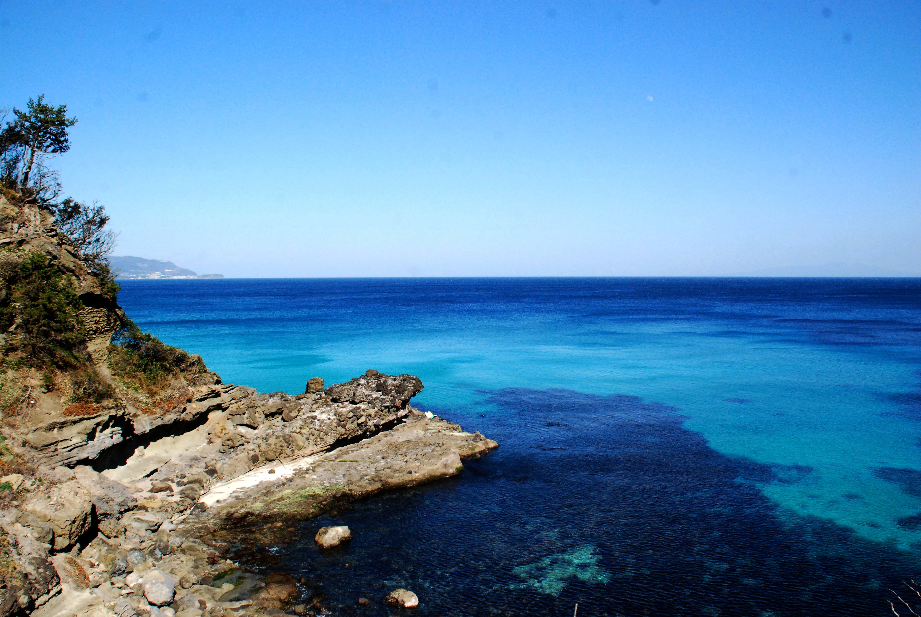 写真：白浜　静岡県