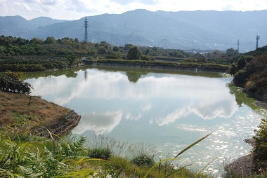 写真：写真：大池　紀の川市