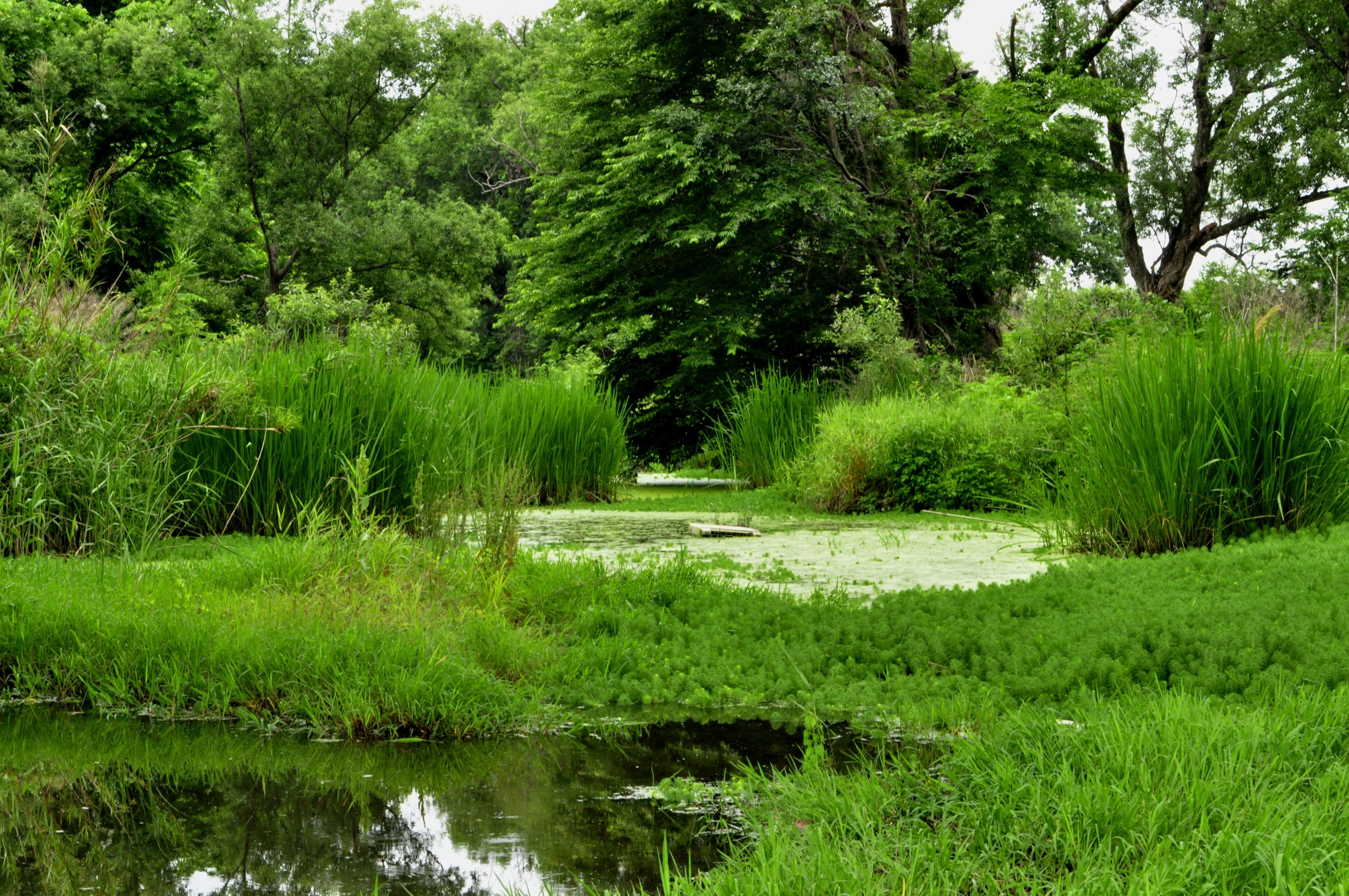 写真：南田井ノ瀬　和歌山市