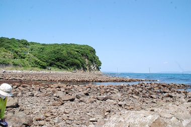 写真：住吉崎　和歌山市