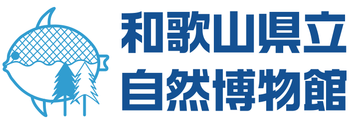 和歌山県立自然博物館