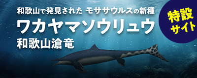 白亜紀の海の王者モササウルス