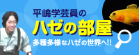 ハゼの部屋