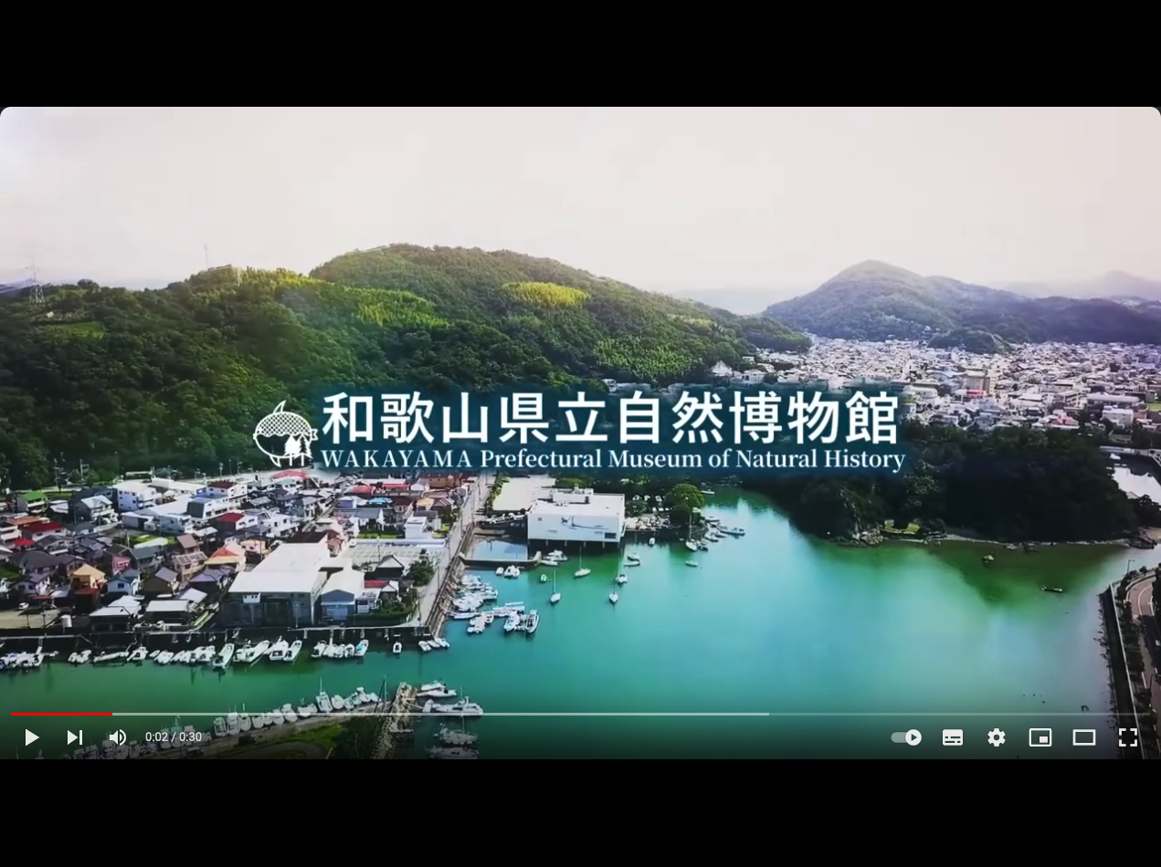youtubeチャンネル