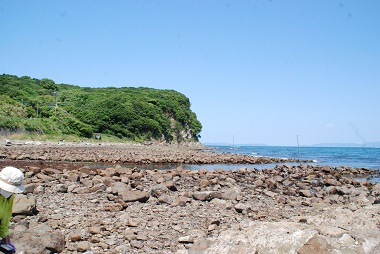 和歌山の海にすむハゼ　フィールド画像　（住吉崎　和歌山市）