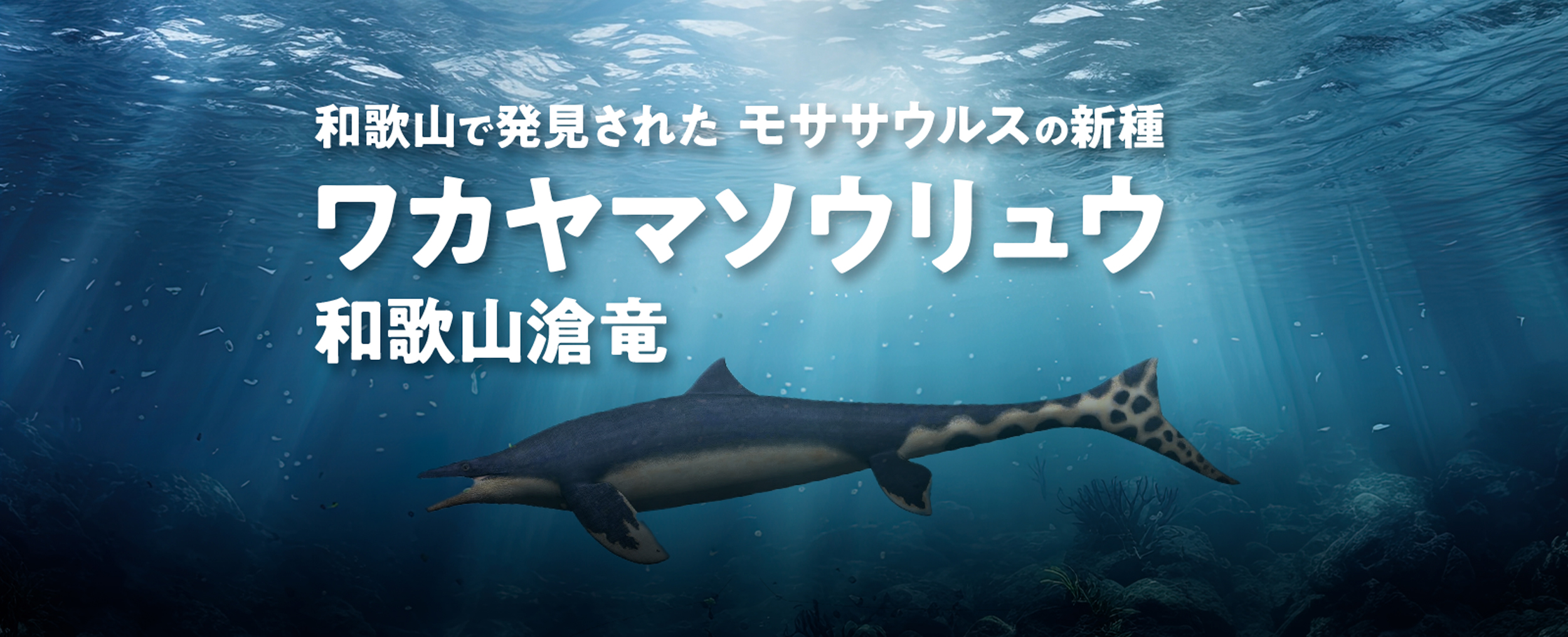 和歌山で発見された モササウルスの新種 ワカヤマソウリュウ