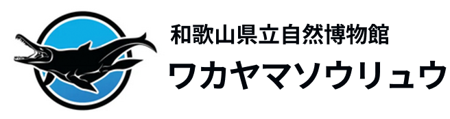 和歌山県立自然博物館 ワカヤマソウリュウ